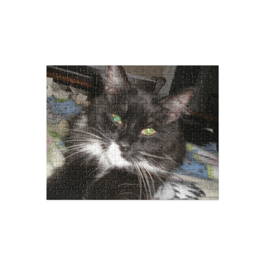 Jigsaw Puzzle - Cat with Blue Eyes